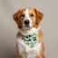 Cactus Dog Bandana Dog Bandana Happy Tails Outfitters