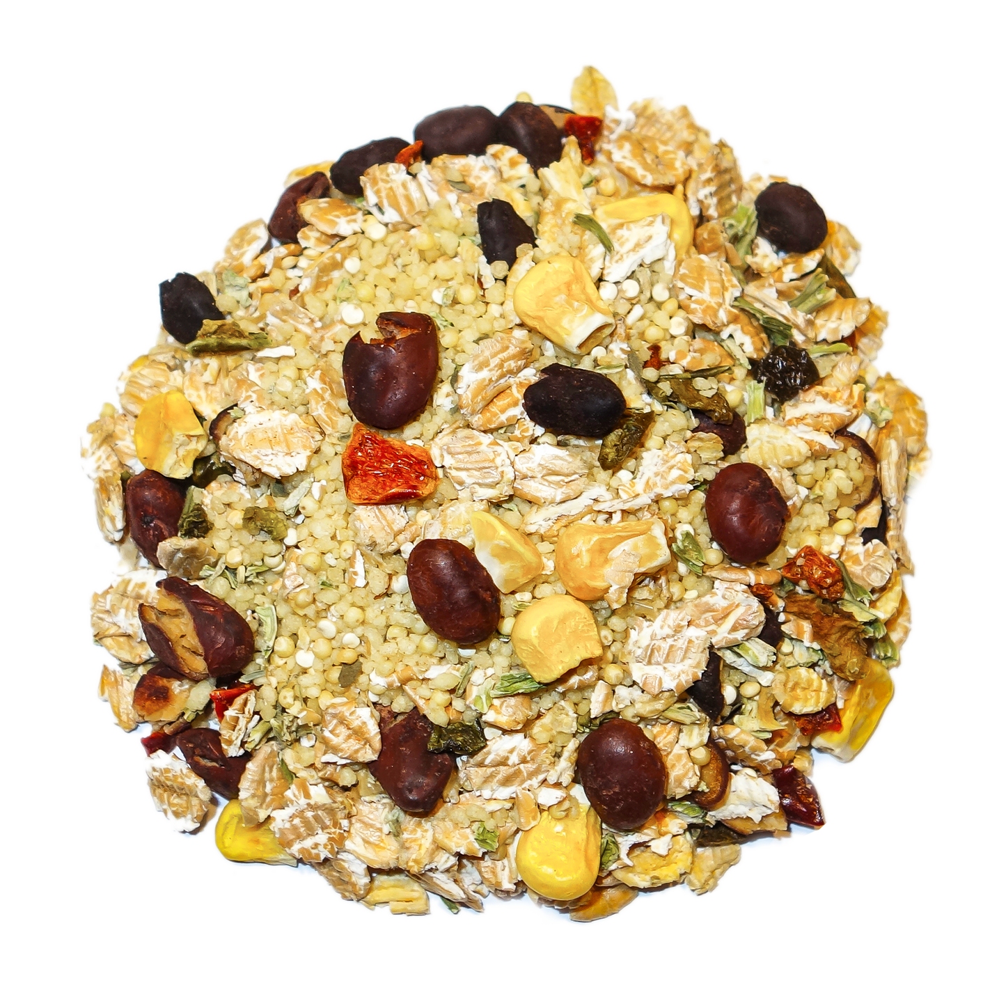 Cajun Bean - Feast on the Fly Parrot Food Bird Street Bistro