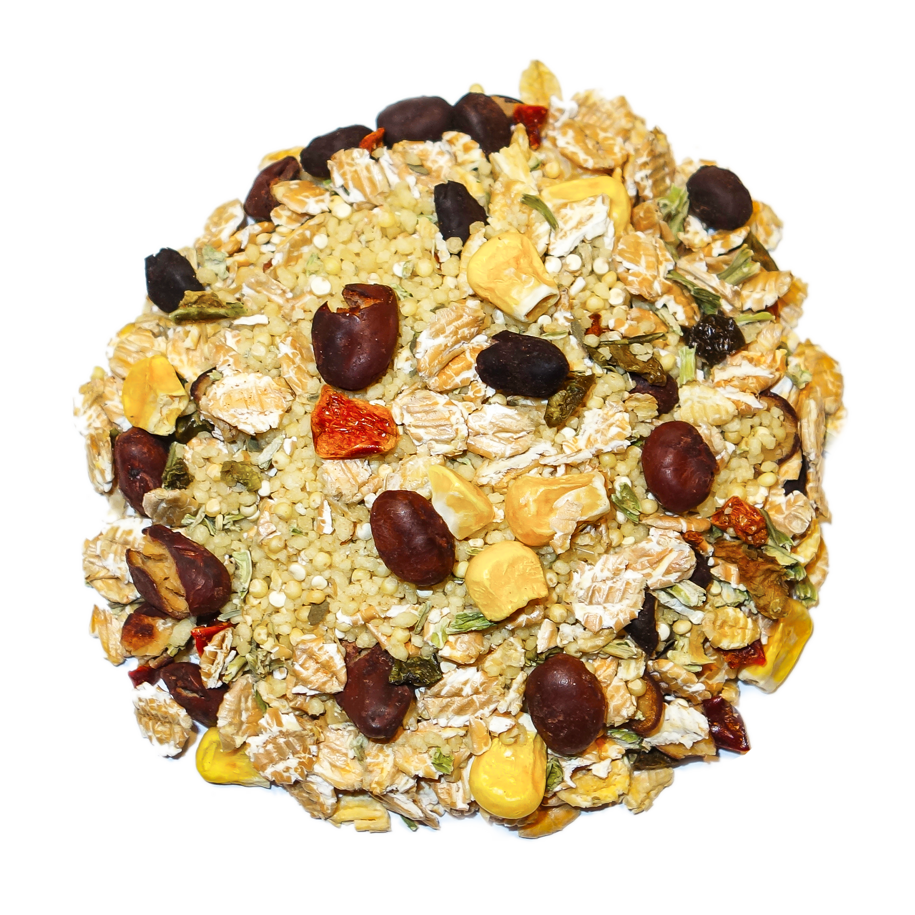 Cajun Bean - Feast on the Fly Parrot Food Bird Street Bistro