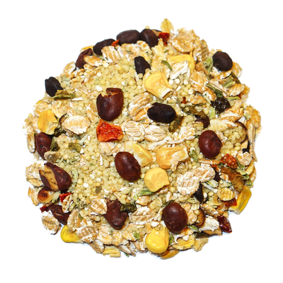 Cajun Bean - Feast on the Fly Parrot Food Bird Street Bistro