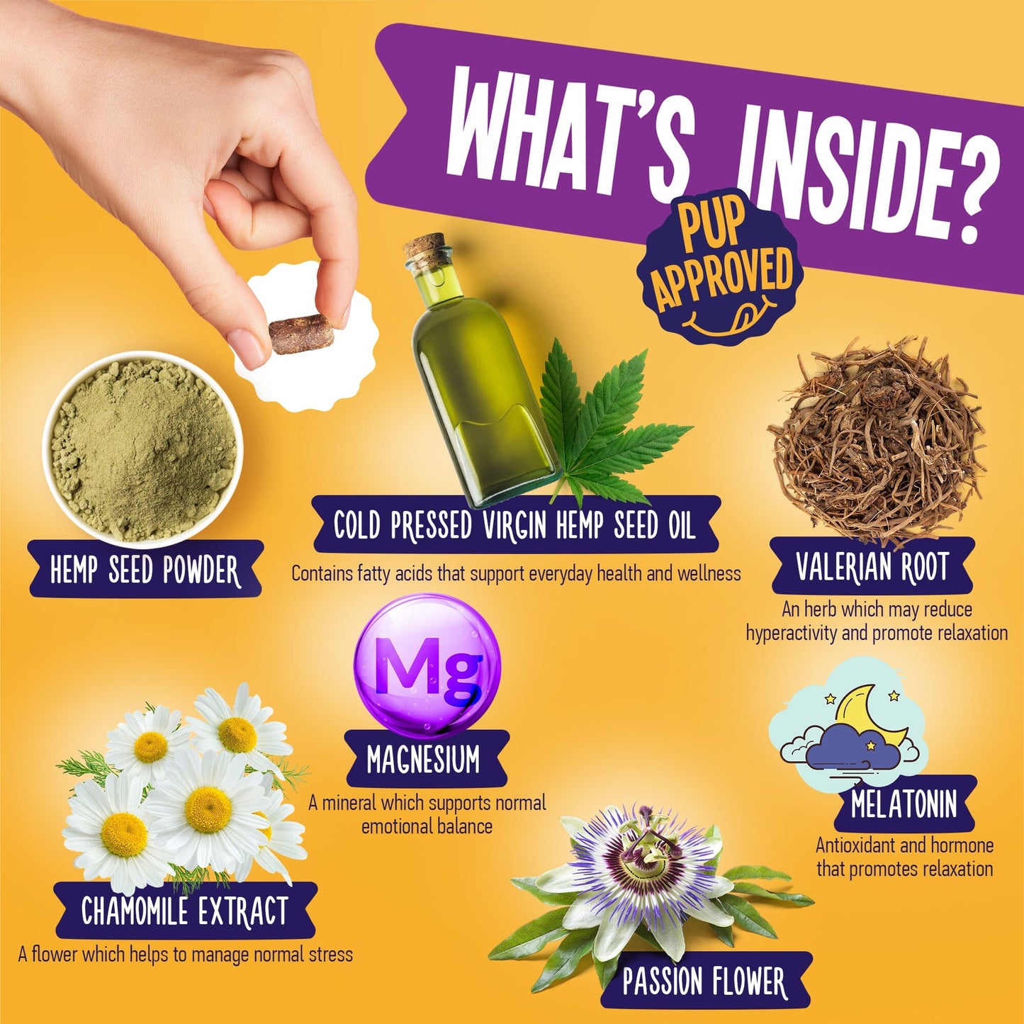 Calming Support With Hemp For Dogs 9oz Jar (120 Count) Dog Soft Chews Dogline