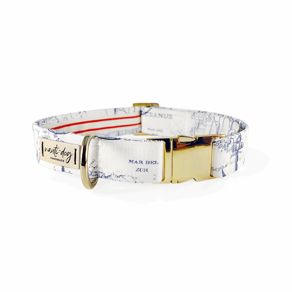 Carta Marina Light Vintage Nautical Toile Buckle & Martingale Dog Collar Dog Collars Nauti-dog Handmade