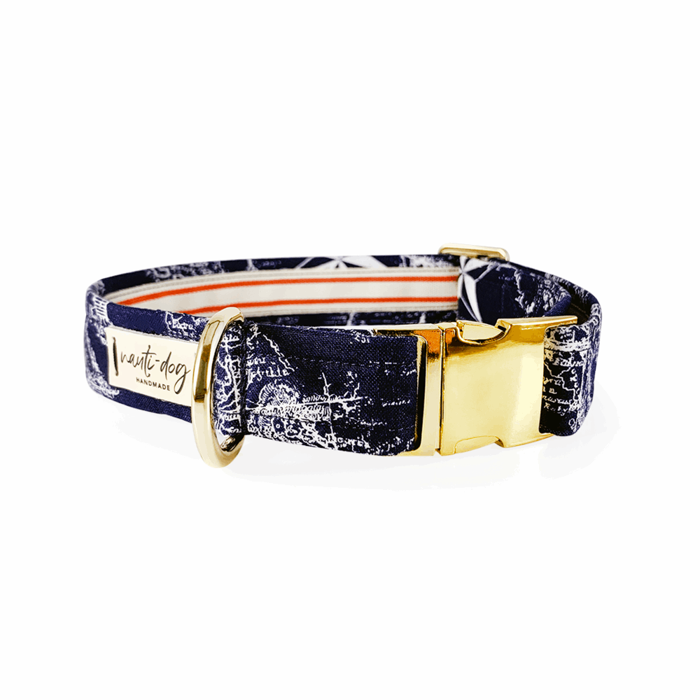 Carta Marina Navy Vintage Nautical Toile Buckle & Martingale Dog Collar Dog Collars Nauti-dog Handmade