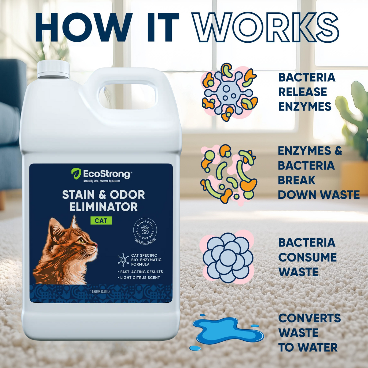Cat Stain and Odor Eliminator Pet & Animal > Cat Stain & Odor EcoStrong