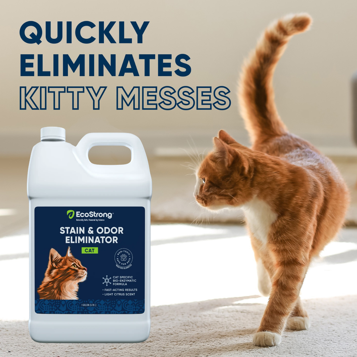 Cat Stain and Odor Eliminator Pet & Animal > Cat Stain & Odor EcoStrong