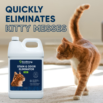 Cat Stain and Odor Eliminator Pet & Animal > Cat Stain & Odor EcoStrong