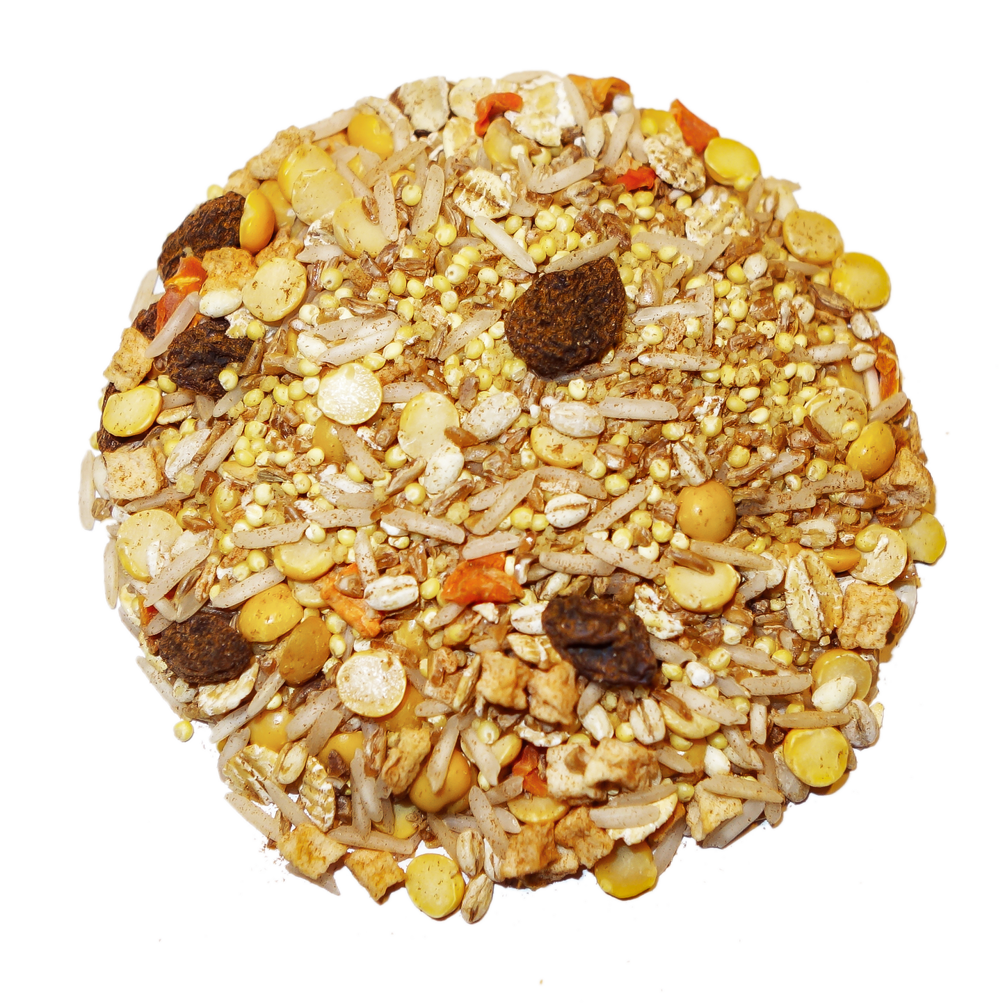 Cinnaspice Delight Parrot Food Bird Street Bistro