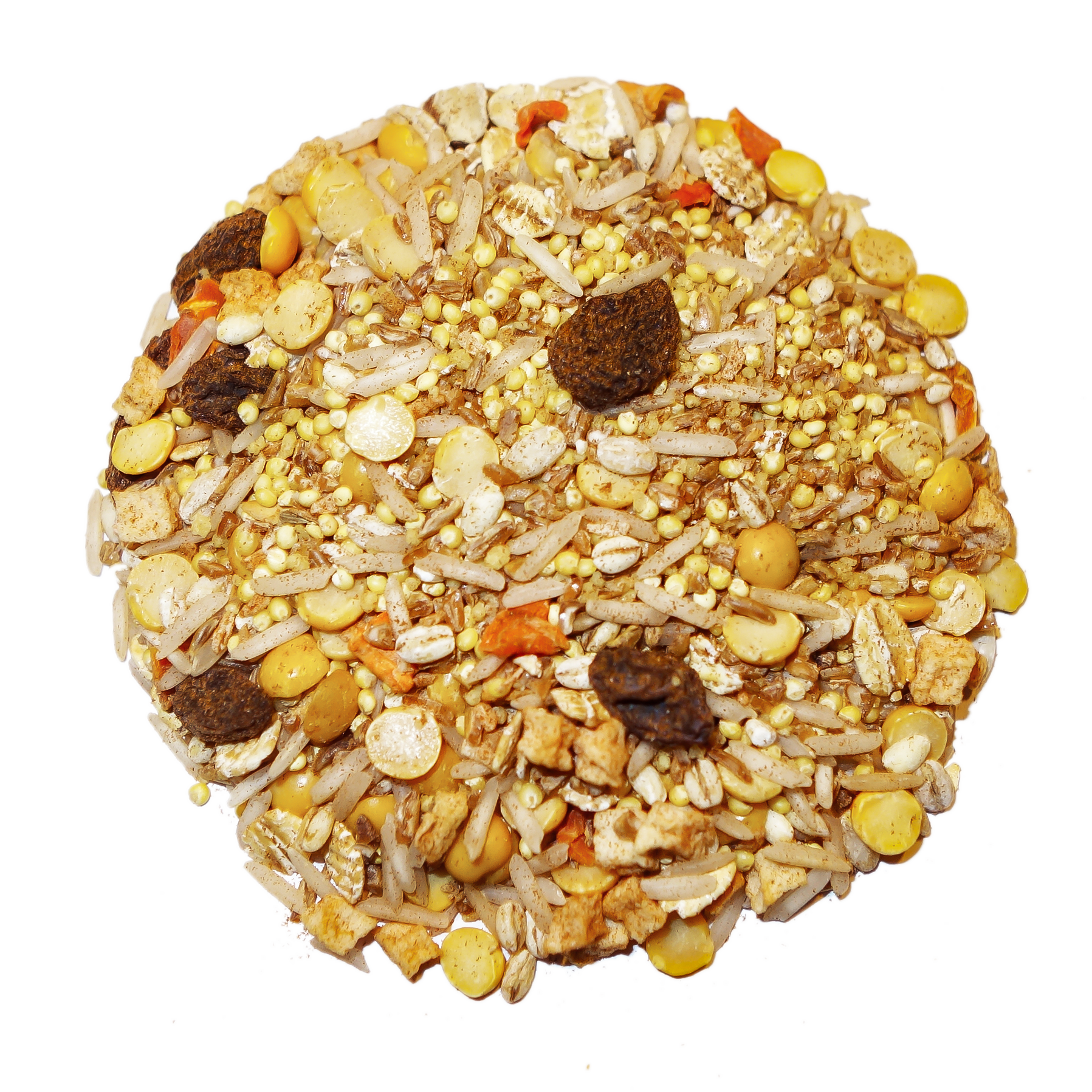 Cinnaspice Delight Parrot Food Bird Street Bistro