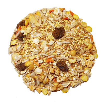 Cinnaspice Delight Parrot Food Bird Street Bistro