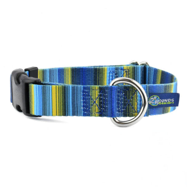 Clyde Buckle Martingale Dog Collar – EarthStyle 2 Hounds Design