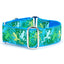Coqui Surf – Exclusive Buckle Martingale Dog Collar Martingale Dog Collar 2 Hounds Design