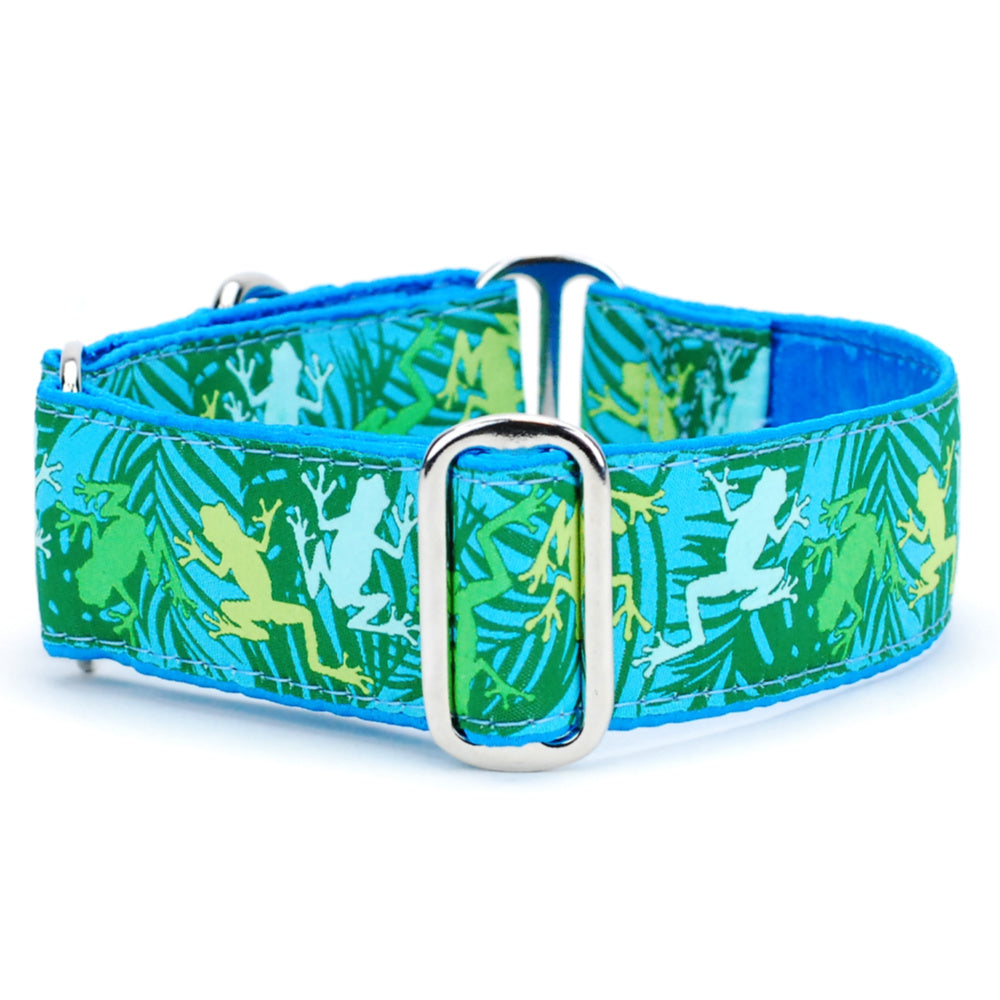 Coqui Surf – Exclusive Buckle Martingale Dog Collar Martingale Dog Collar 2 Hounds Design