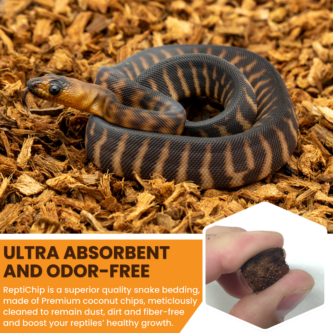 BabiChip Premium Small Sized Coconut Chips; Ready to Use Substrate ReptiChip LLC