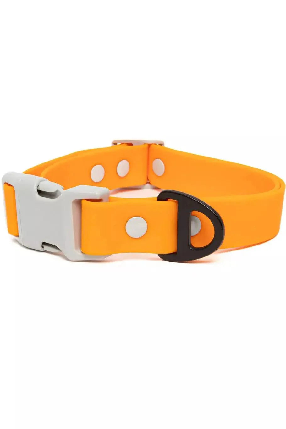 Crimson Glow Waterproof Dog Collar Bright Orange Gray Dog Collar Aria the Fox