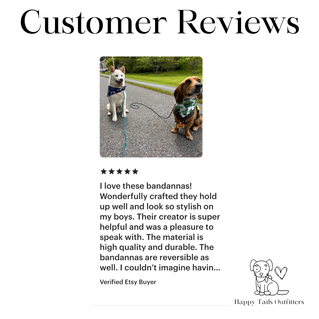 Cactus Dog Bandana Dog Bandana Happy Tails Outfitters