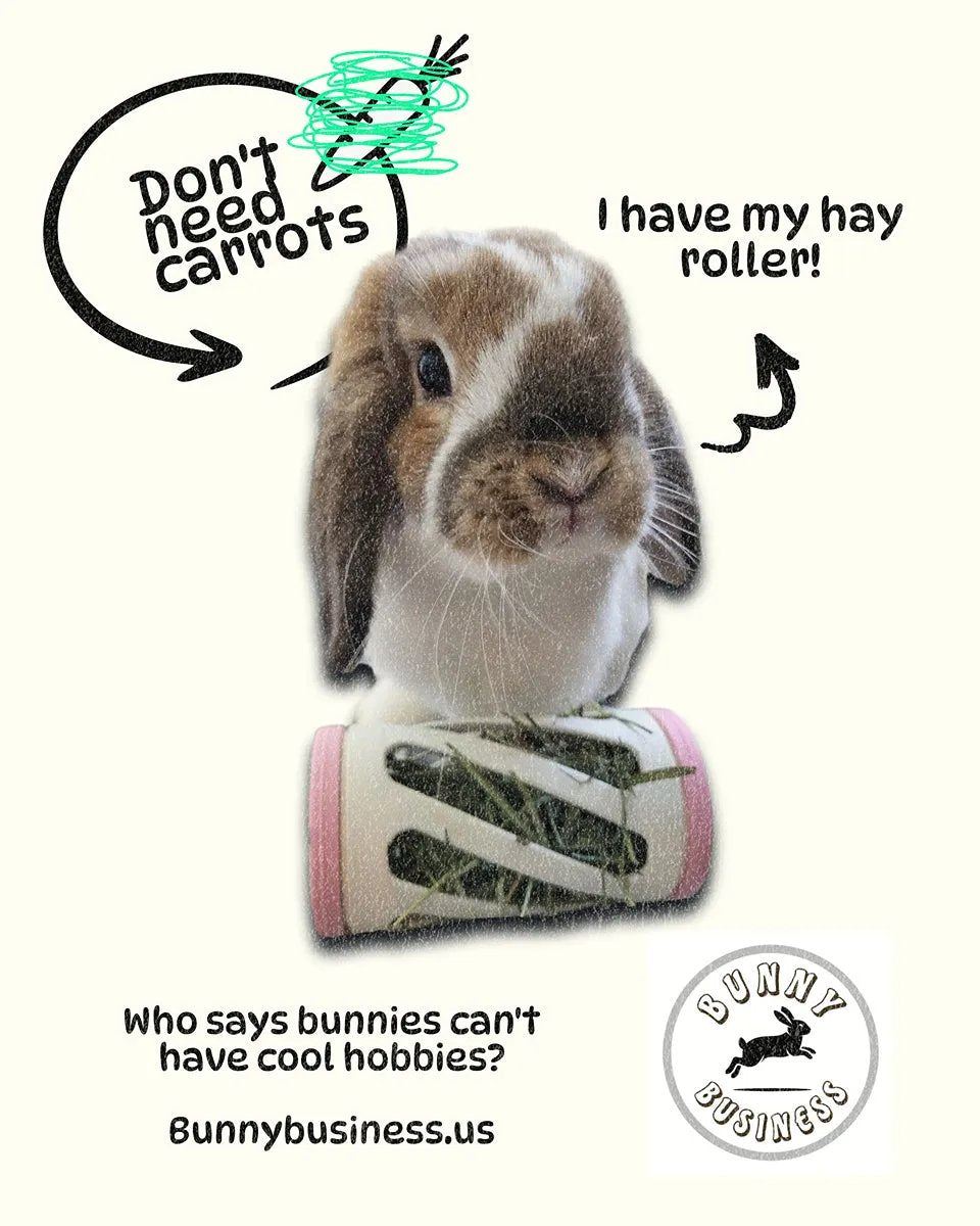 The Open Air Hay Feeder and Hay Roller Bundle | 6 Colors Hay feeder Bunny Business