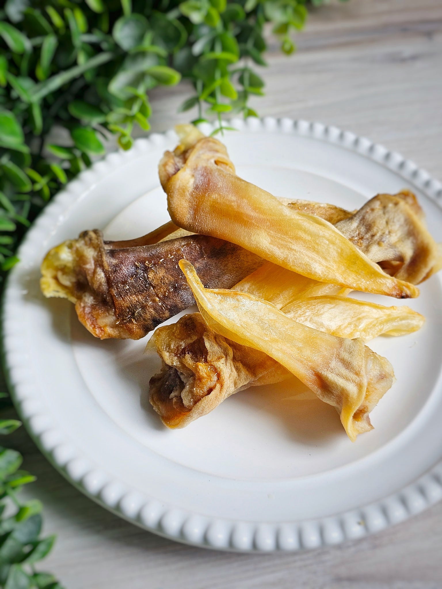 Lamb Ears (Furry & Non Fur) 3-3.5oz (No Fur) Naked Beasts