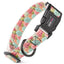 Dogline Biothane Full Color Design Printed Dog Collar with Quick Release Buckle Pastel Succulents W 3 4" x L 12"-19" Dog Collars Dogline