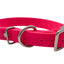 Biothane Collar by Chief Treats Pink Dog Collar Chief’s Treats and Pet Supplies