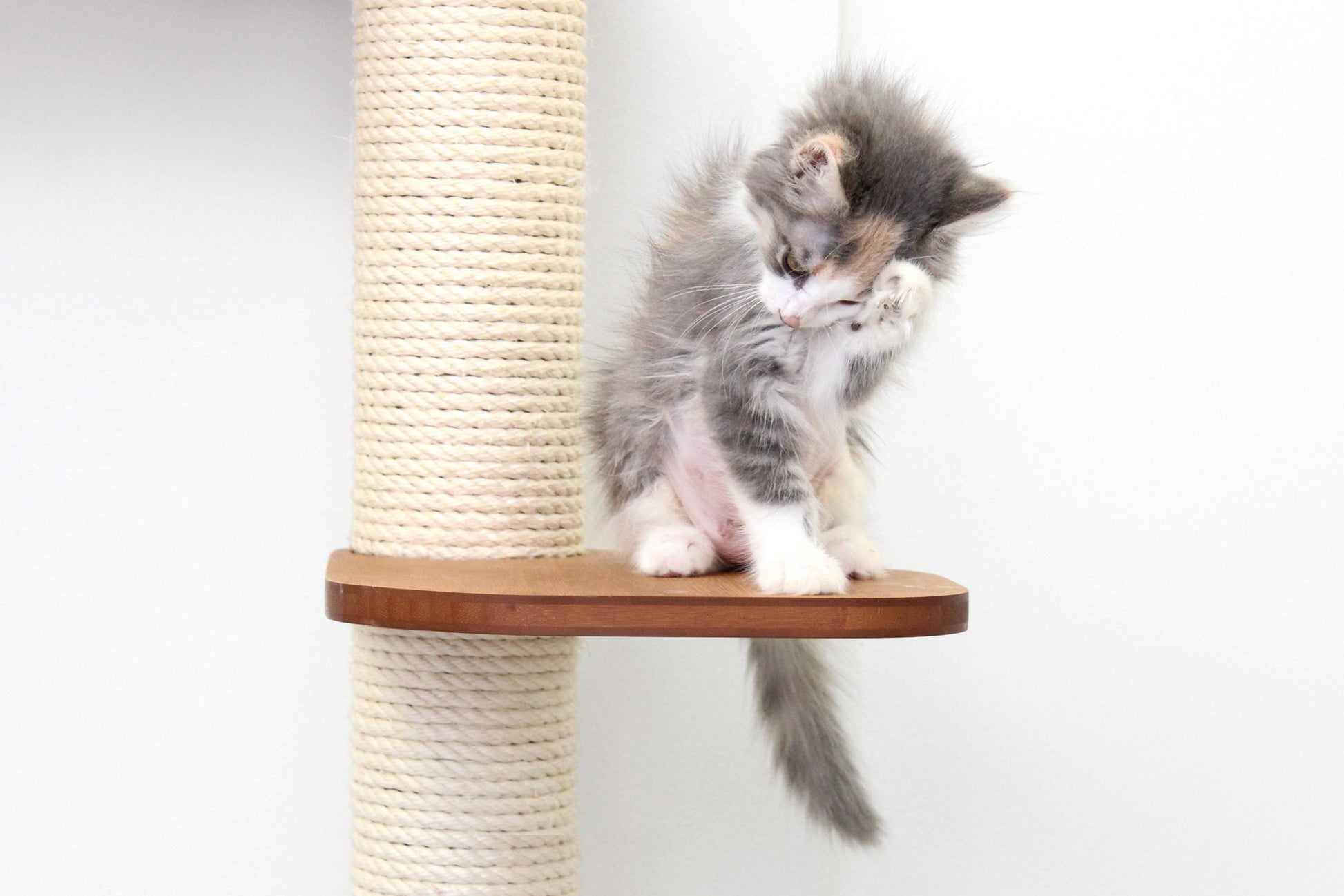 The Deluxe Cat Fort - Modern Cat Condo Onyx Bamboo Charcoal Gray Canvas Pole and Leaf Shelf Cat Condo Catastrophic Creations