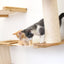 The Deluxe Cat Fort - Modern Cat Condo Cat Condo Catastrophic Creations