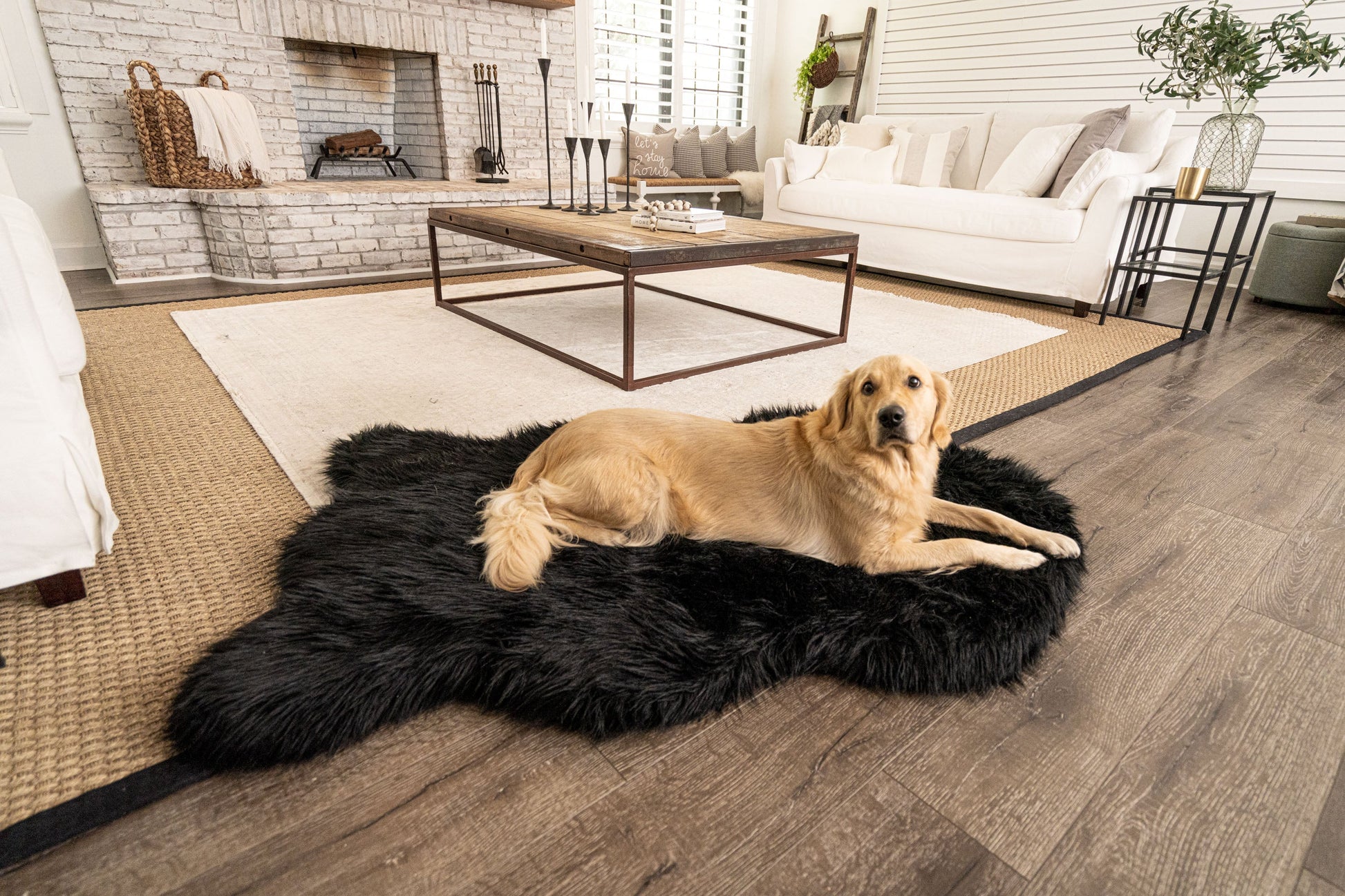 PupRug by Paw.com® Faux Fur Orthopedic Dog Bed - Curve Midnight Black Large (50" L x 30" W) Dog Beds Paw.com