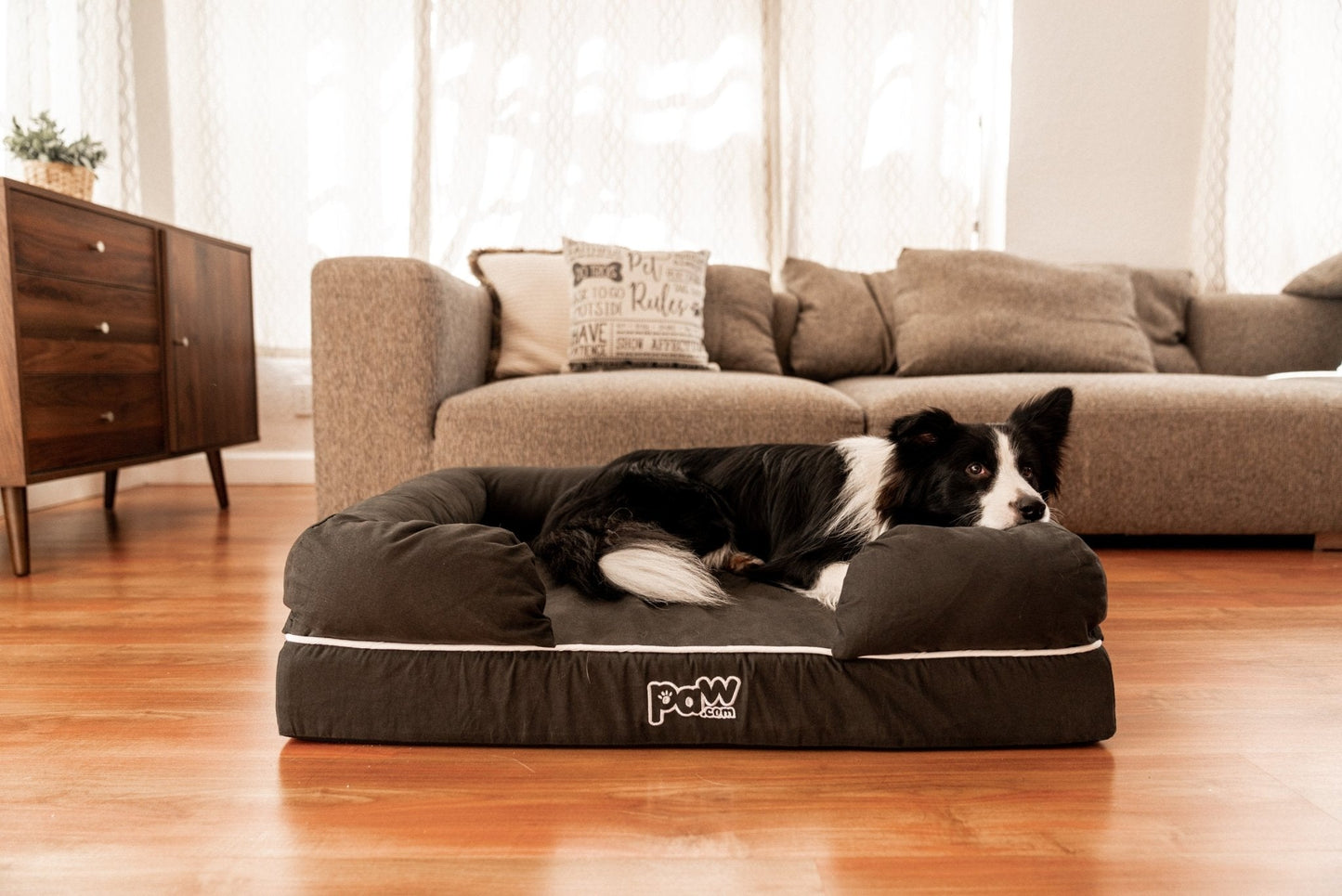 PupLounge™ Memory Foam Dog Bed Cover - Charcoal Grey (Bed Not Included) - Small Dog Bed Cover Paw.com