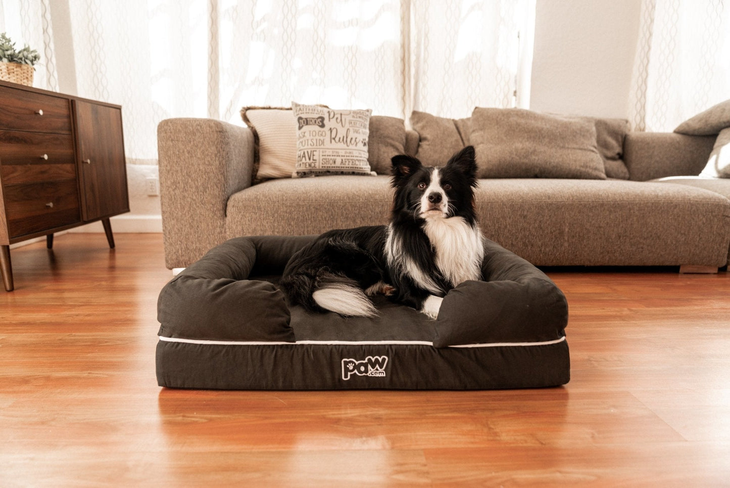 PupLounge™ Memory Foam Dog Bed Cover - Charcoal Grey (Bed Not Included) - Small Dog Bed Cover Paw.com