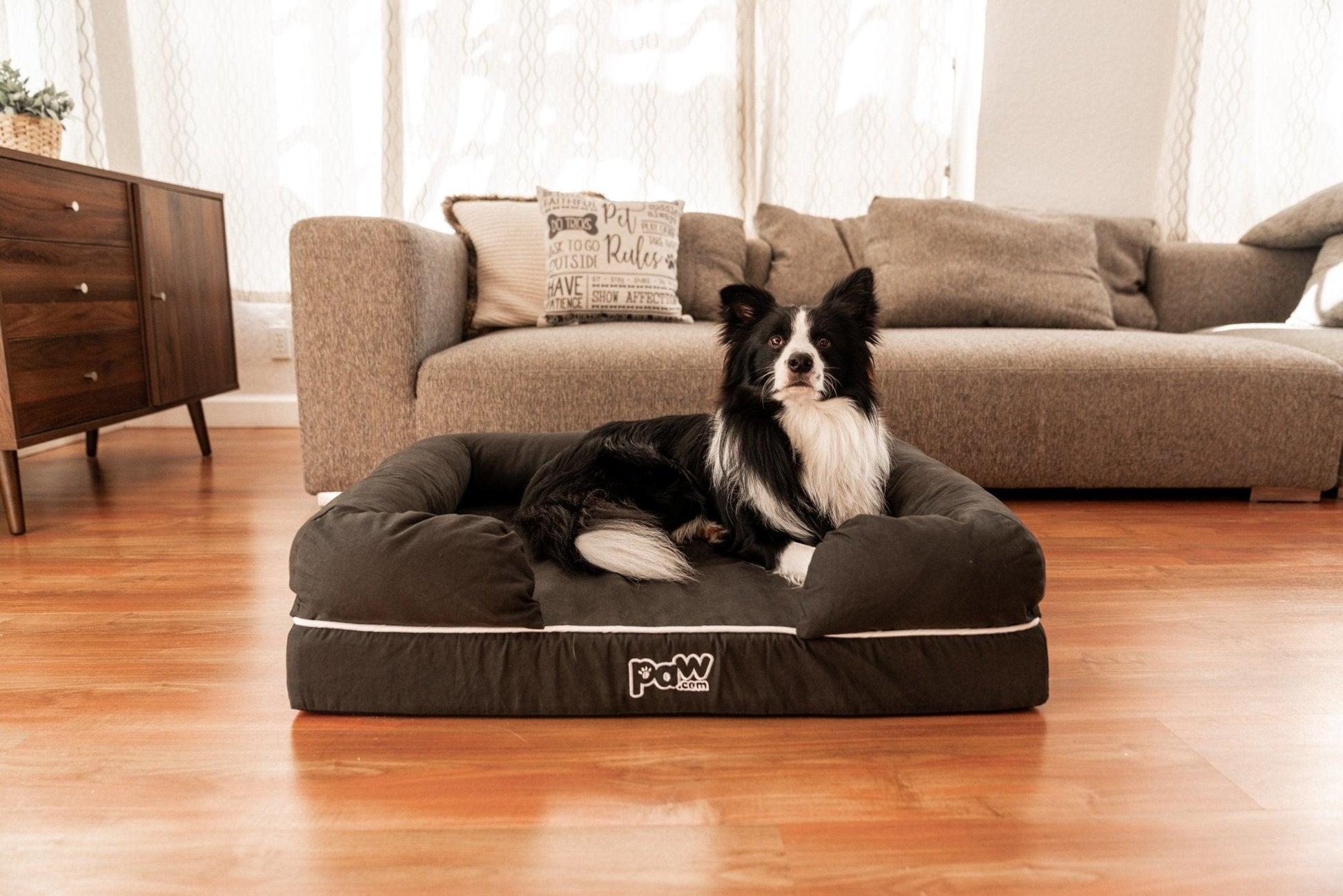 PupLounge™ Memory Foam Dog Bed Cover - Charcoal Grey (Bed Not Included) - Small Dog Bed Cover Paw.com