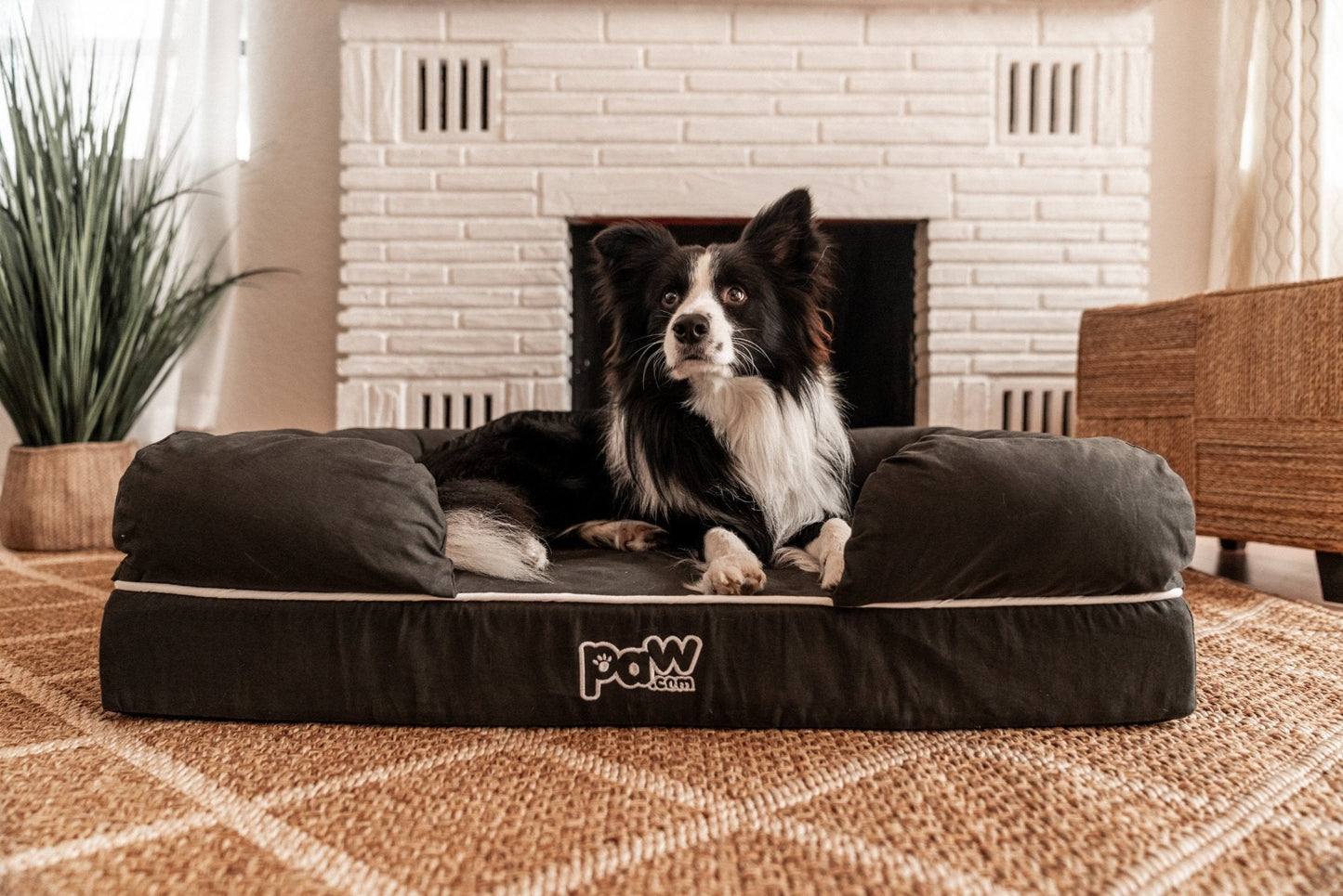 PupLounge™ Memory Foam Dog Bed Cover - Charcoal Grey (Bed Not Included) - Small Dog Bed Cover Paw.com