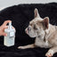 Marlie Mist Pet Odor Eliminator Spray with Essential Oils Pet Fragrances & Deodorizing Sprays Paw.com