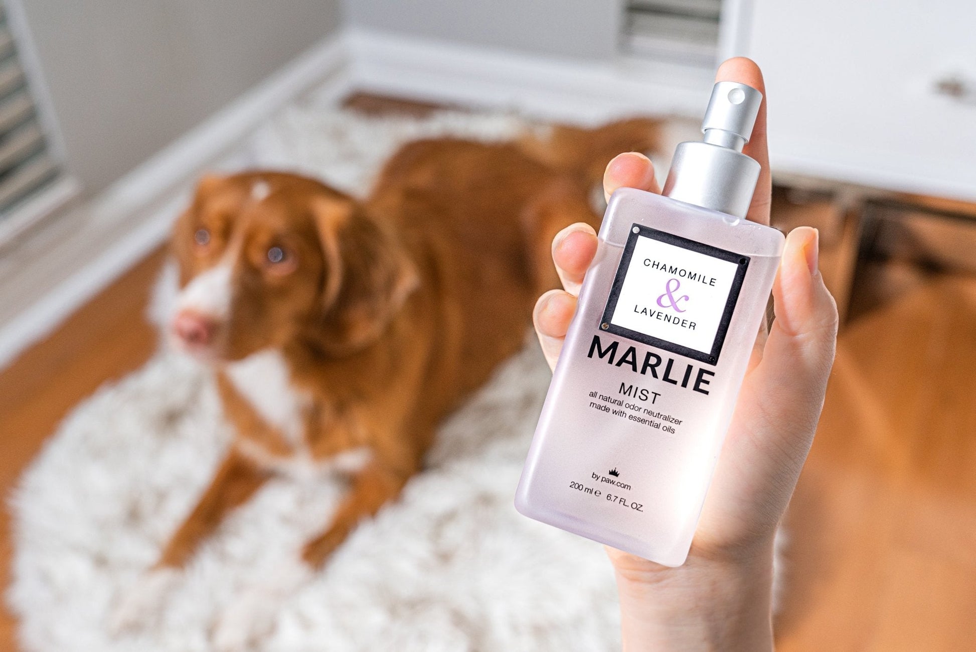 Marlie Mist Pet Odor Eliminator Spray with Essential Oils Pet Fragrances & Deodorizing Sprays Paw.com