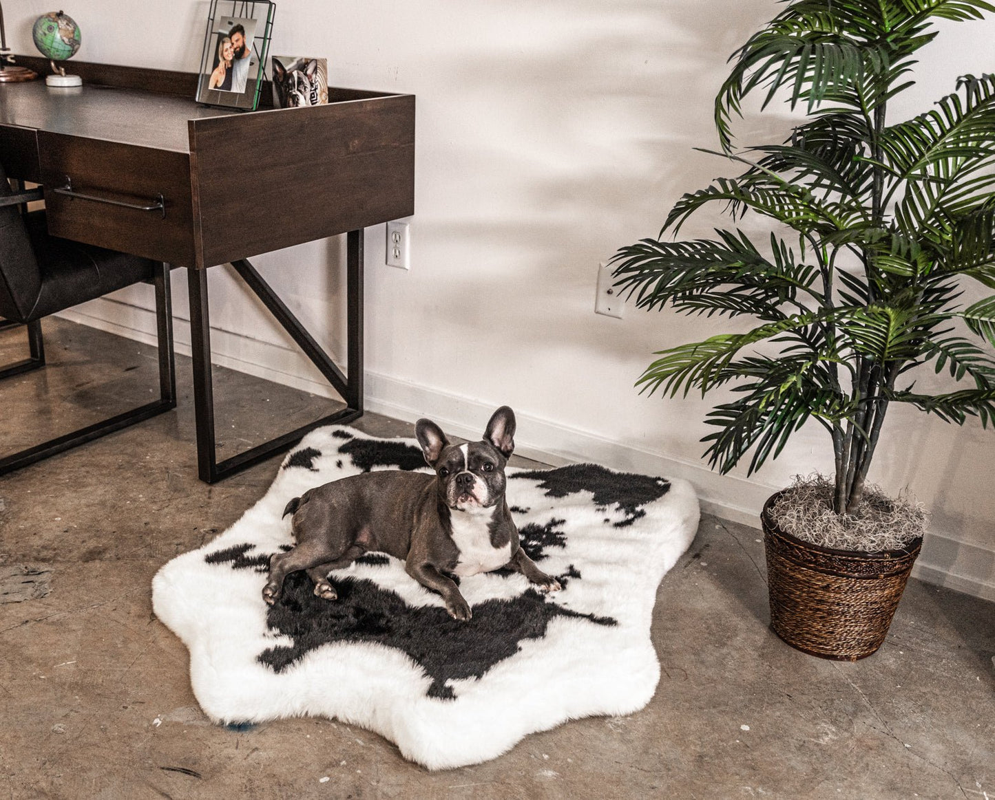 PupRug® Animal Print Memory Foam Dog Bed - Black Faux Cowhide Dog Beds Paw.com