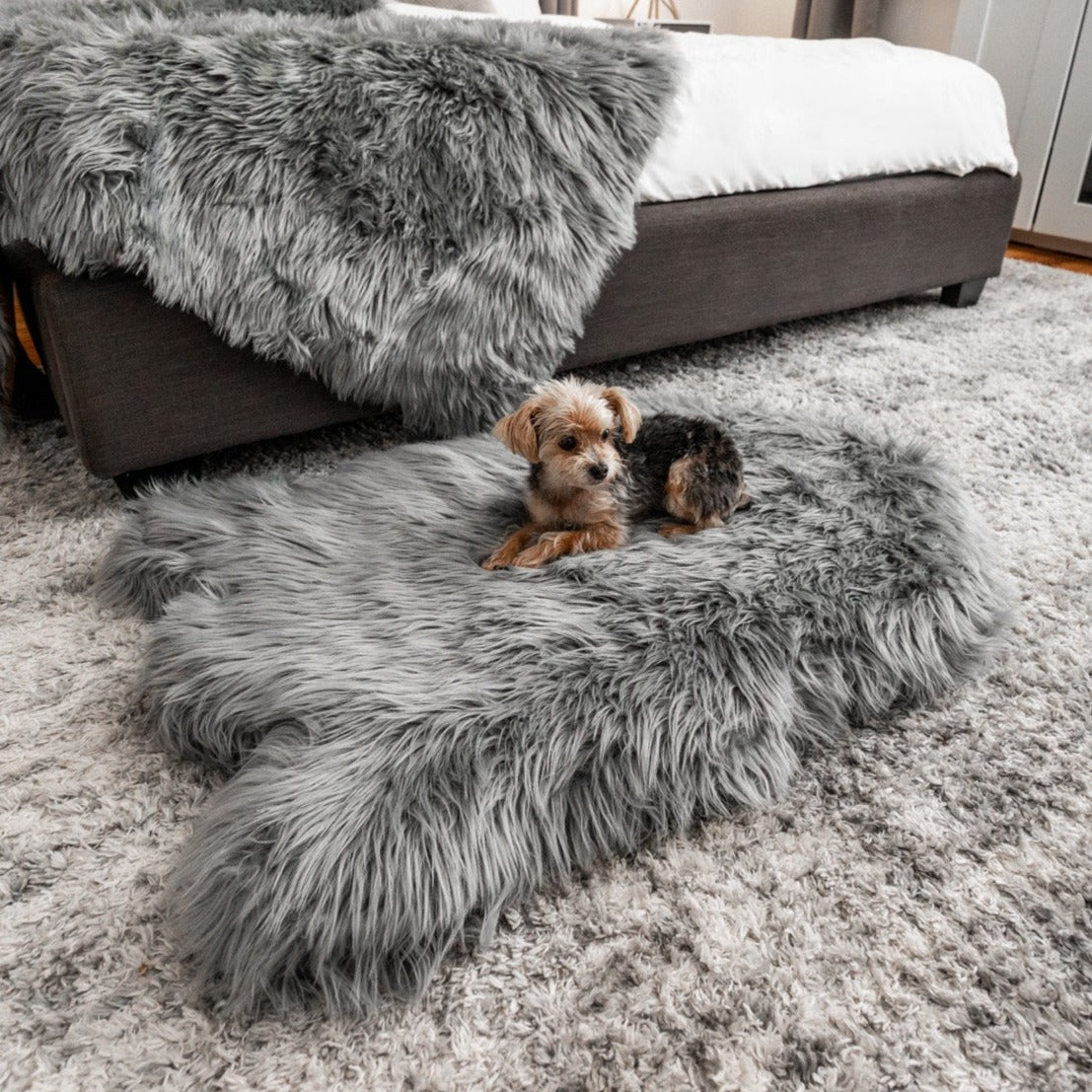 PupRug by Paw.com® Faux Fur Orthopedic Dog Bed - Curve Charcoal Grey Medium (40" L x 25" W) Dog Beds Paw