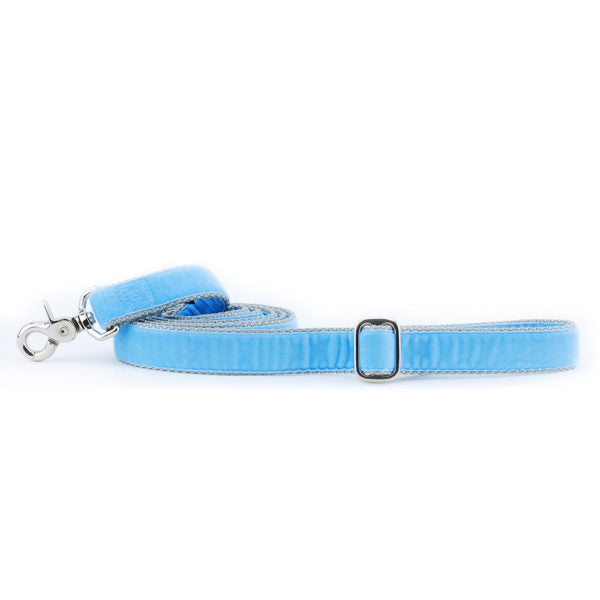 Light Blue Velvet Dog Leash 2 Hounds Design