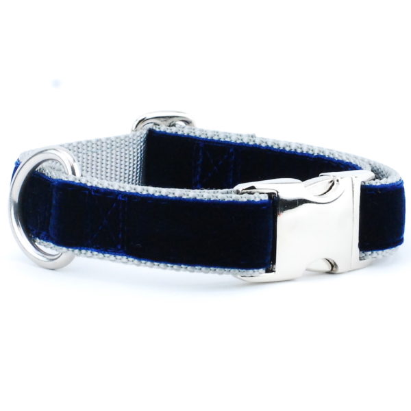 Navy/Silver Holiday Velvet Essential Buckle Martingale Dog Collar Martingale Dog Collar 2 Hounds Design