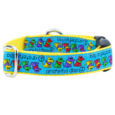1″ Grateful Dog Teddy The Dog Essential Buckle Martingale Dog Collar 2 Hounds Design