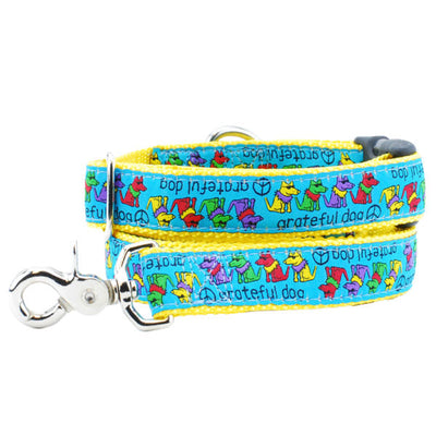 1″ Grateful Dog Teddy The Dog Essential Dog Collar Dog Collar 2 Hounds Design
