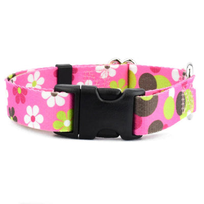 Daisy Dot Dog Collar – EarthStyle 2 Hounds Design