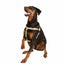 Tan Freedom No-Pull Dog Harness 2 Hounds Design