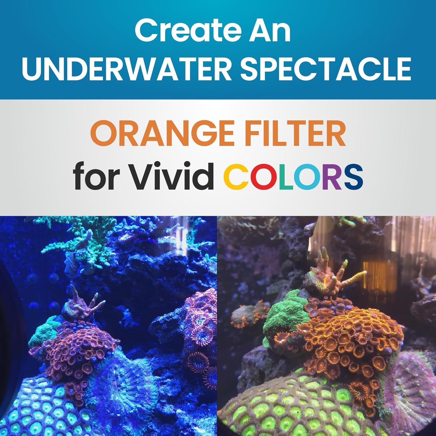 DeepSee Viewer Clear Max 5" - Orange Filter Flipper Aquarium Products