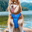 Dockside Adventures Ultimate Harness Harness Aria the Fox