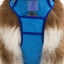 Dockside Adventures Ultimate Harness Harness Aria the Fox