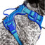 Dockside Adventures Ultimate Harness Candy Blue Ultramarine Small Harness Aria the Fox