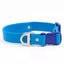 Dockside Adventures Waterproof Dog Collar Candy Blue Ultramarine Dog Collar Aria the Fox