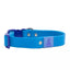Dockside Adventures Waterproof Dog Collar Dog Collar Aria the Fox