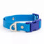 Dockside Adventures Waterproof Dog Collar Candy Blue Ultramarine Dog Collar Aria the Fox