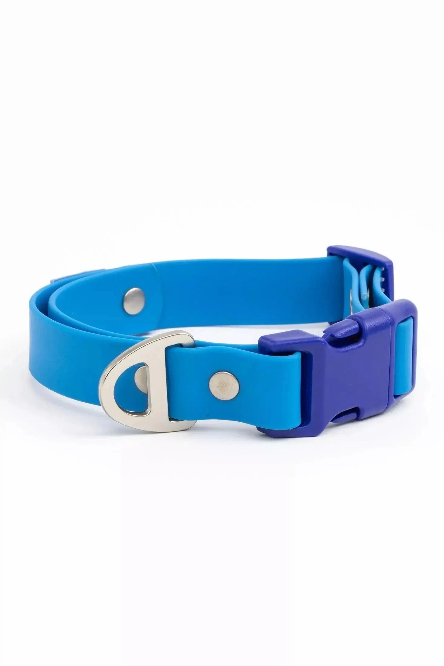 Dockside Adventures Waterproof Dog Collar Candy Blue Ultramarine Dog Collar Aria the Fox