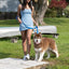 Dockside Adventures Waterproof Dog Leash Leash Aria the Fox