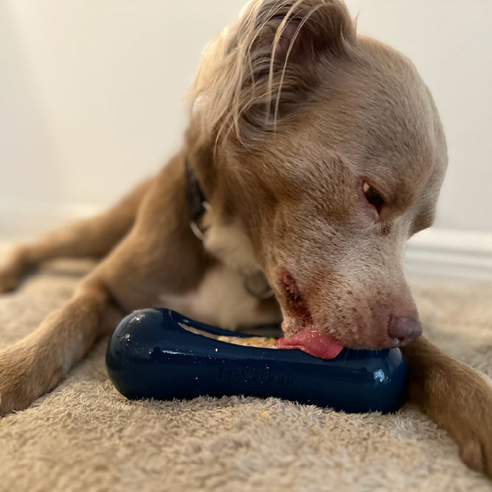 Freezstick - Indestructible Enrichment Chew Freezbone